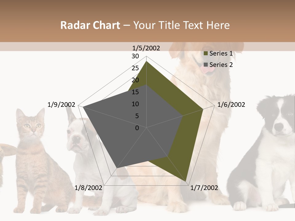 A Group Of Dogs And Cats Sitting In Front Of A Fish Bowl PowerPoint Template