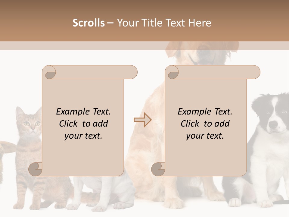 A Group Of Dogs And Cats Sitting In Front Of A Fish Bowl PowerPoint Template