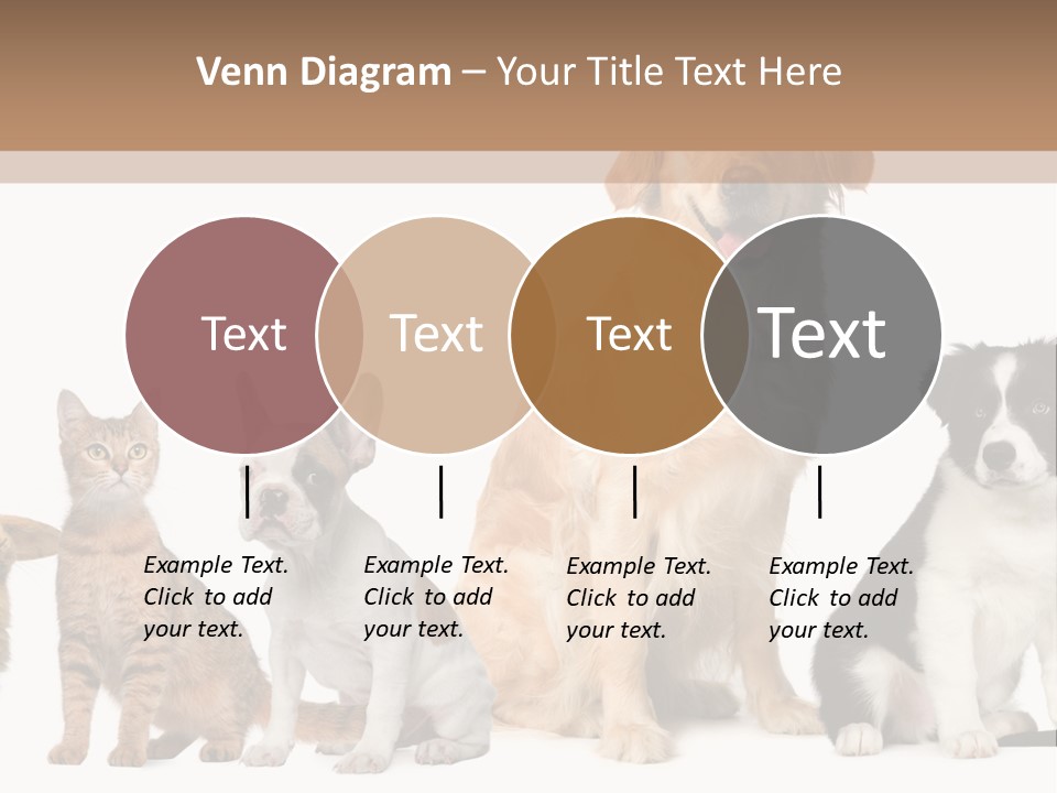 A Group Of Dogs And Cats Sitting In Front Of A Fish Bowl PowerPoint Template