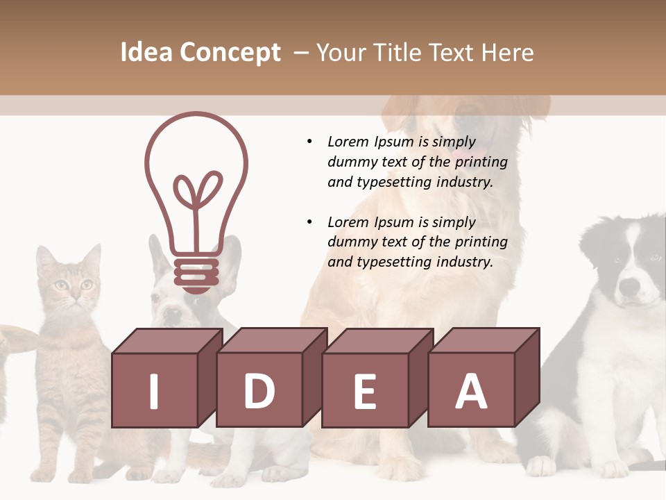 A Group Of Dogs And Cats Sitting In Front Of A Fish Bowl PowerPoint Template