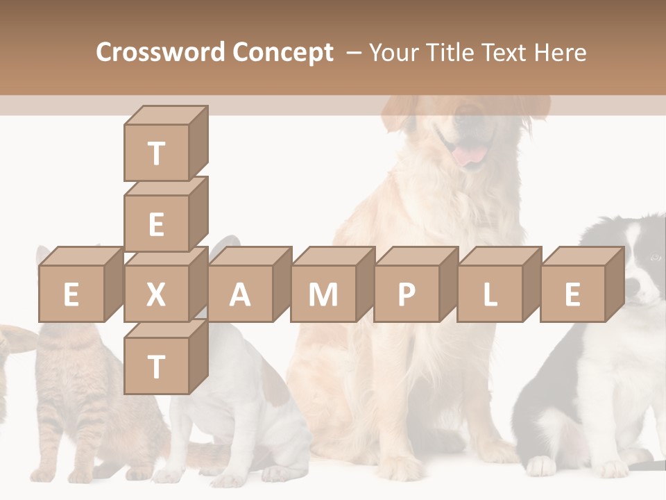 A Group Of Dogs And Cats Sitting In Front Of A Fish Bowl PowerPoint Template