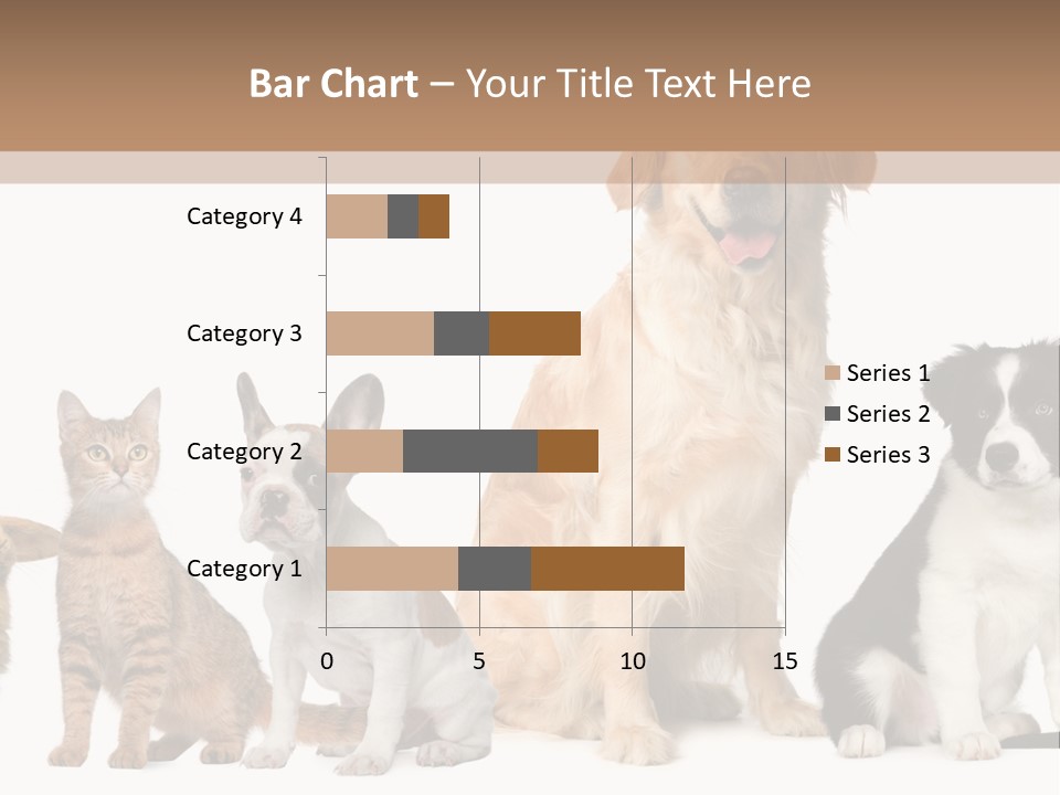 A Group Of Dogs And Cats Sitting In Front Of A Fish Bowl PowerPoint Template