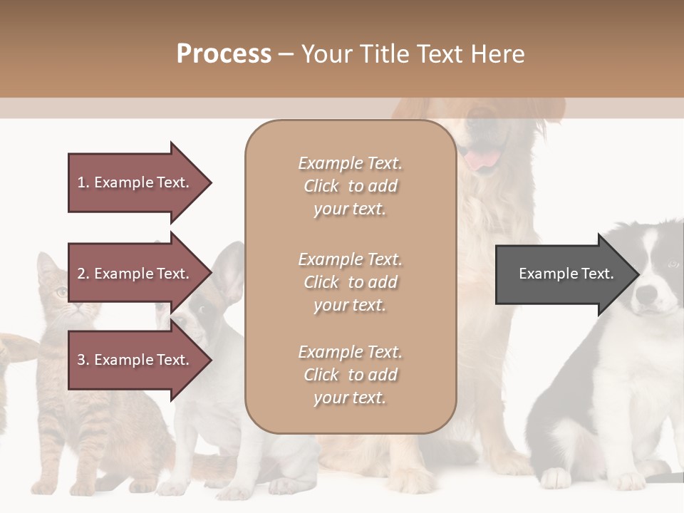 A Group Of Dogs And Cats Sitting In Front Of A Fish Bowl PowerPoint Template