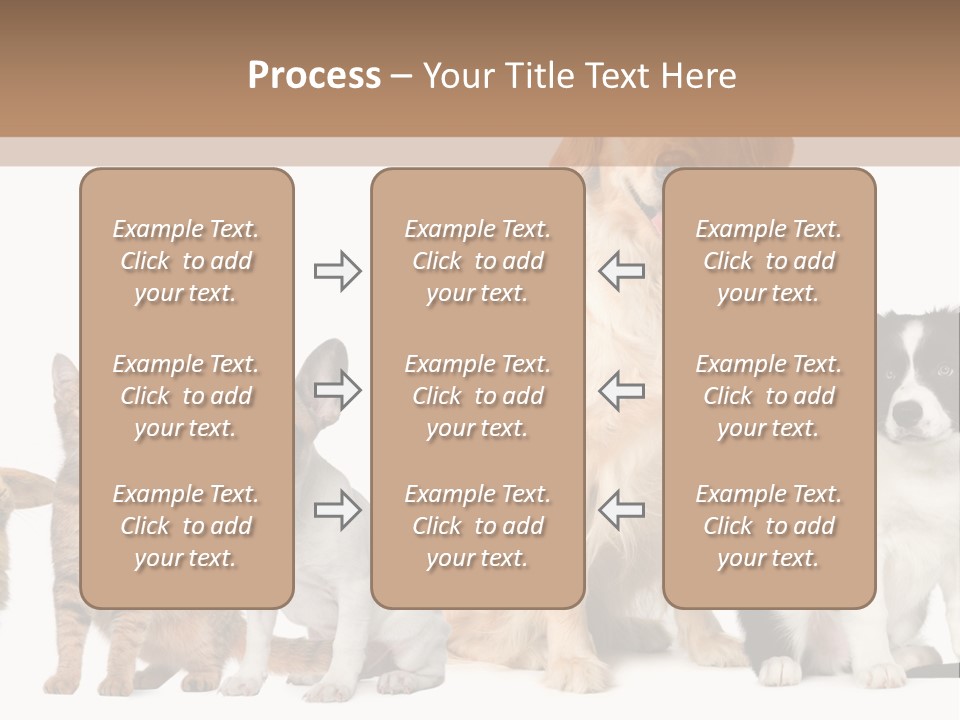 A Group Of Dogs And Cats Sitting In Front Of A Fish Bowl PowerPoint Template