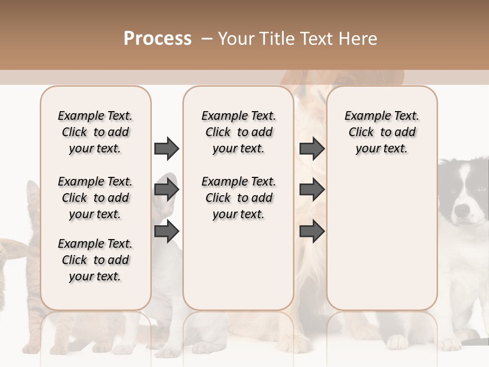 A Group Of Dogs And Cats Sitting In Front Of A Fish Bowl PowerPoint Template