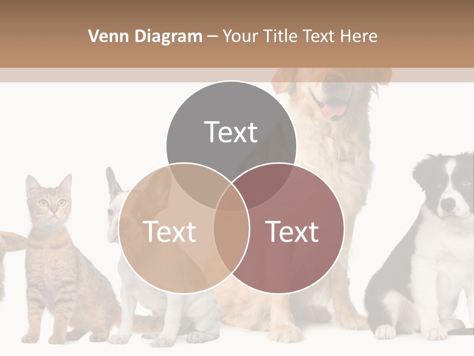 A Group Of Dogs And Cats Sitting In Front Of A Fish Bowl PowerPoint Template