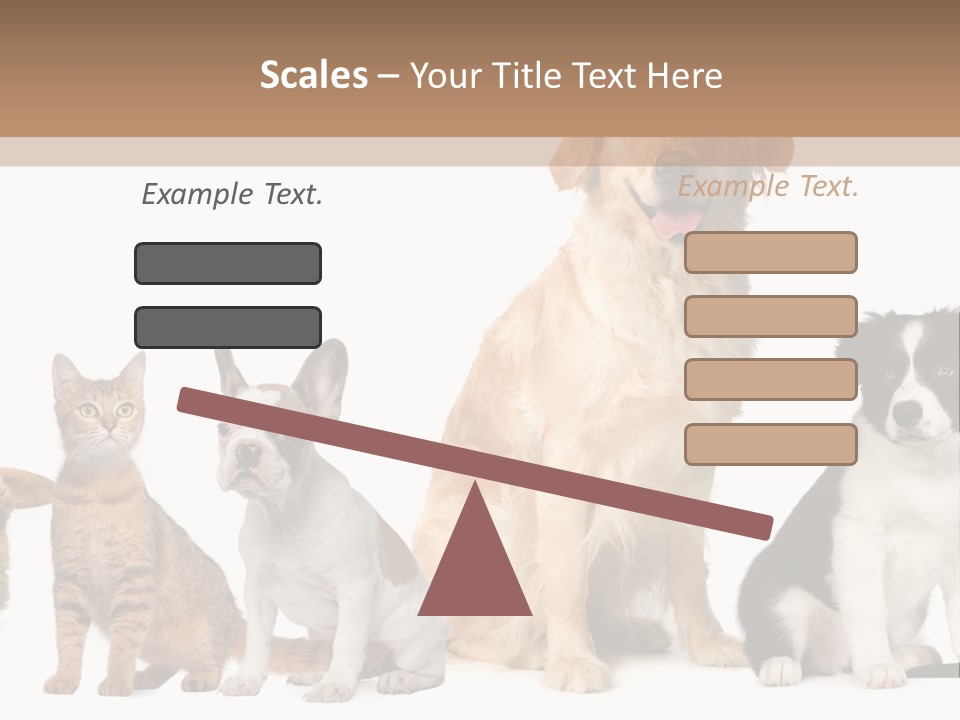 A Group Of Dogs And Cats Sitting In Front Of A Fish Bowl PowerPoint Template