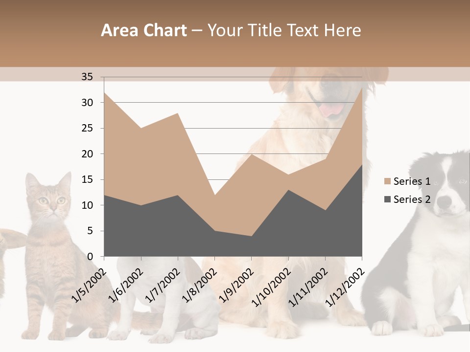 A Group Of Dogs And Cats Sitting In Front Of A Fish Bowl PowerPoint Template