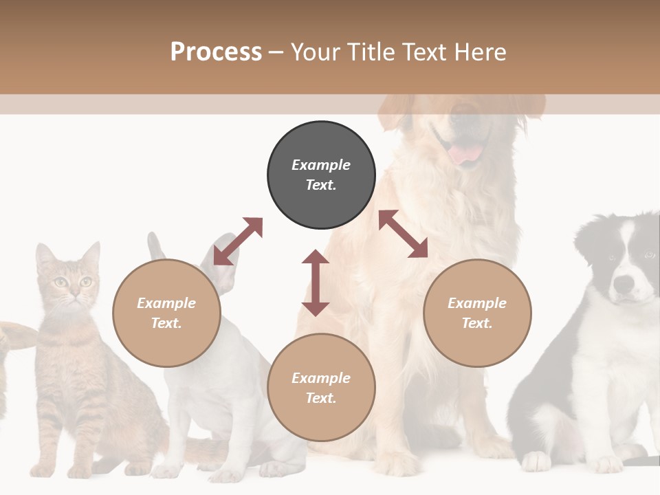 A Group Of Dogs And Cats Sitting In Front Of A Fish Bowl PowerPoint Template