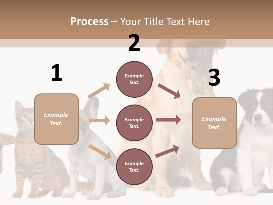 A Group Of Dogs And Cats Sitting In Front Of A Fish Bowl PowerPoint Template