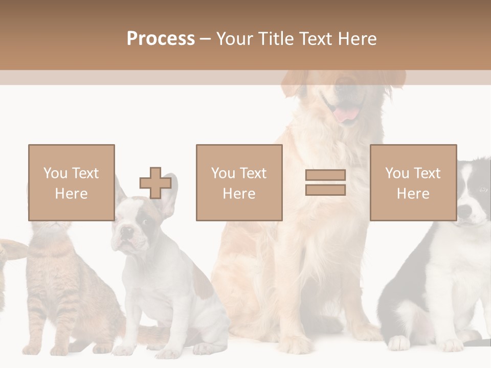 A Group Of Dogs And Cats Sitting In Front Of A Fish Bowl PowerPoint Template