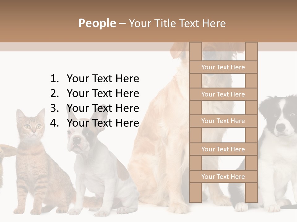 A Group Of Dogs And Cats Sitting In Front Of A Fish Bowl PowerPoint Template