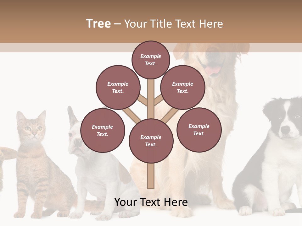 A Group Of Dogs And Cats Sitting In Front Of A Fish Bowl PowerPoint Template