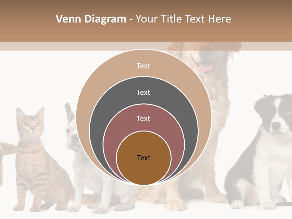 A Group Of Dogs And Cats Sitting In Front Of A Fish Bowl PowerPoint Template