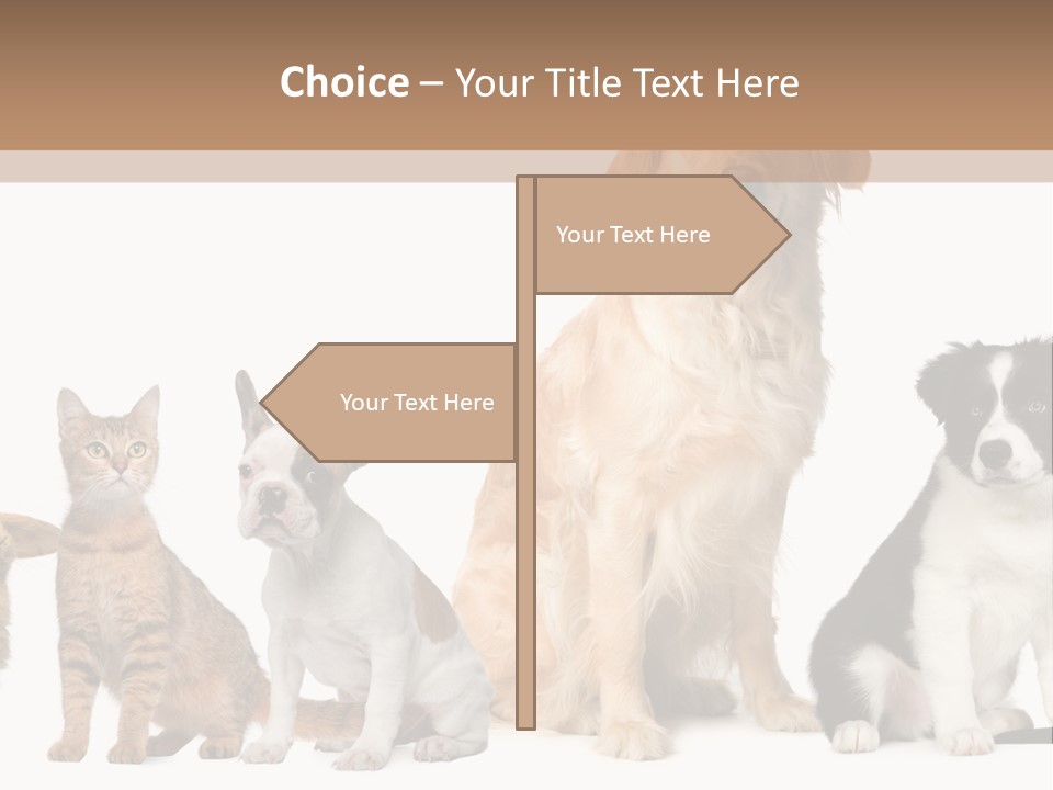 A Group Of Dogs And Cats Sitting In Front Of A Fish Bowl PowerPoint Template