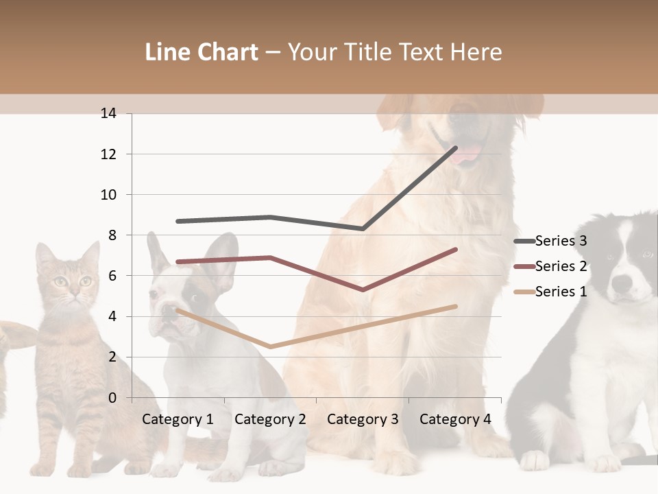 A Group Of Dogs And Cats Sitting In Front Of A Fish Bowl PowerPoint Template