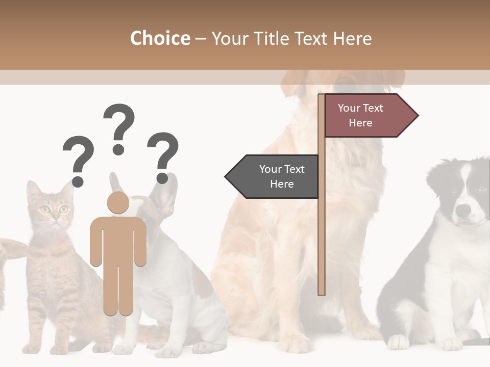 A Group Of Dogs And Cats Sitting In Front Of A Fish Bowl PowerPoint Template