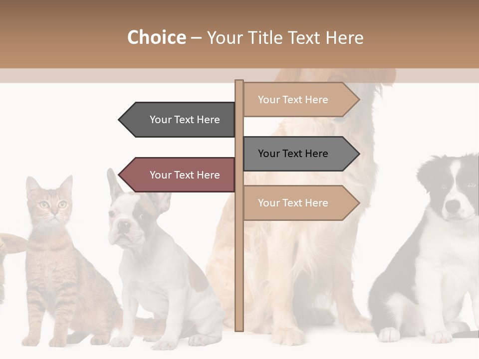 A Group Of Dogs And Cats Sitting In Front Of A Fish Bowl PowerPoint Template