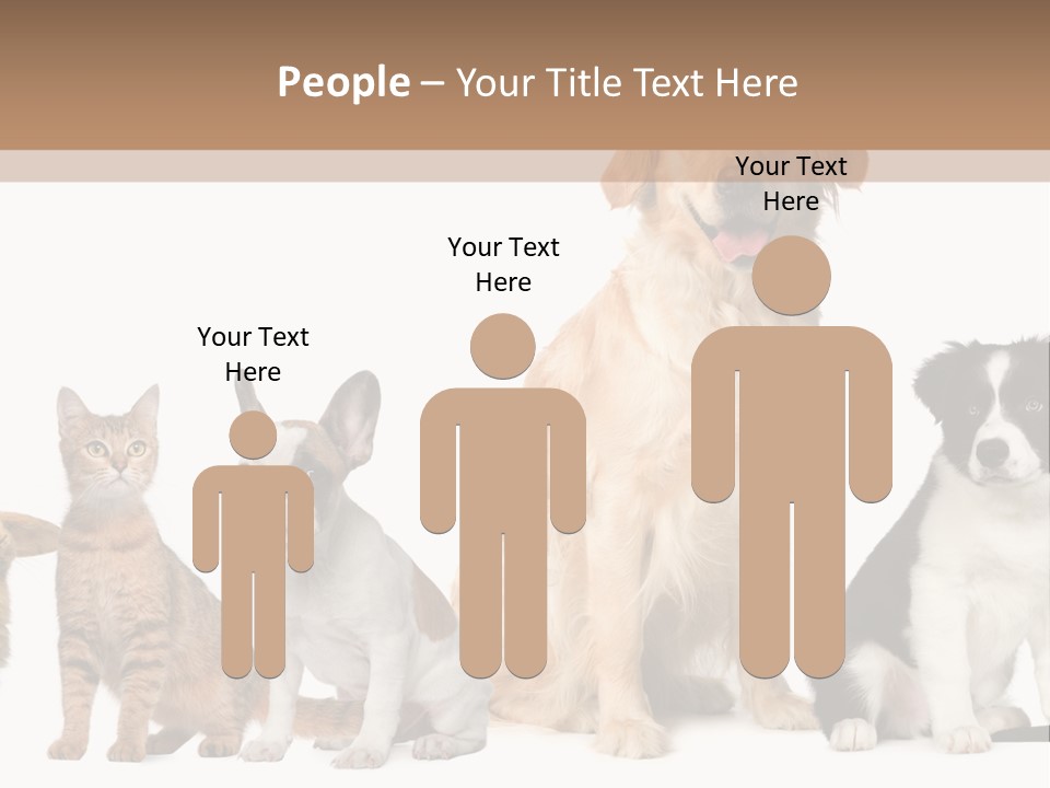 A Group Of Dogs And Cats Sitting In Front Of A Fish Bowl PowerPoint Template