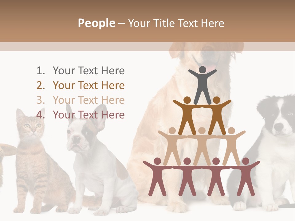 A Group Of Dogs And Cats Sitting In Front Of A Fish Bowl PowerPoint Template