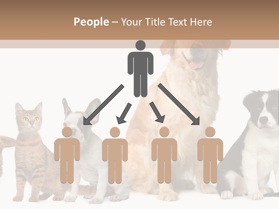 A Group Of Dogs And Cats Sitting In Front Of A Fish Bowl PowerPoint Template