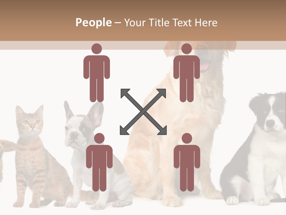 A Group Of Dogs And Cats Sitting In Front Of A Fish Bowl PowerPoint Template