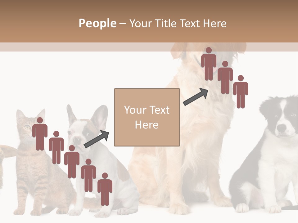 A Group Of Dogs And Cats Sitting In Front Of A Fish Bowl PowerPoint Template