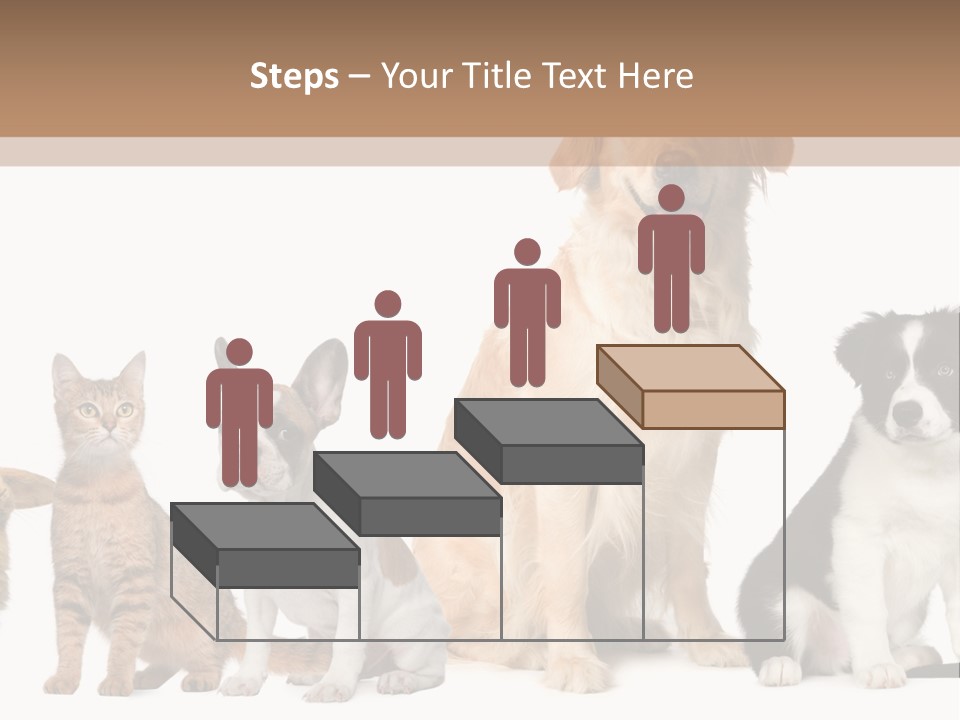 A Group Of Dogs And Cats Sitting In Front Of A Fish Bowl PowerPoint Template