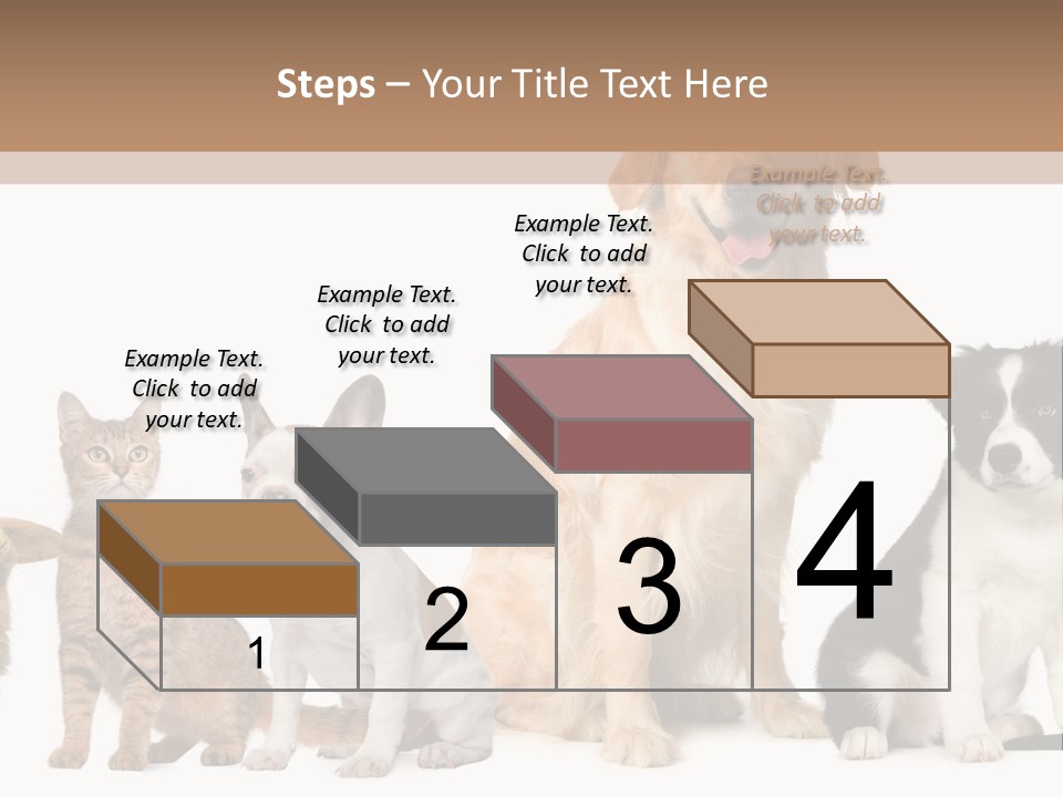 A Group Of Dogs And Cats Sitting In Front Of A Fish Bowl PowerPoint Template