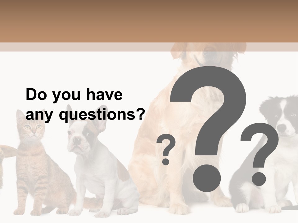 A Group Of Dogs And Cats Sitting In Front Of A Fish Bowl PowerPoint Template