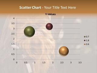 A Chew Chew Chew Chew Chew Chew Chew Chew Chew Chew Chew Chew Chew Chew Chew PowerPoint Template