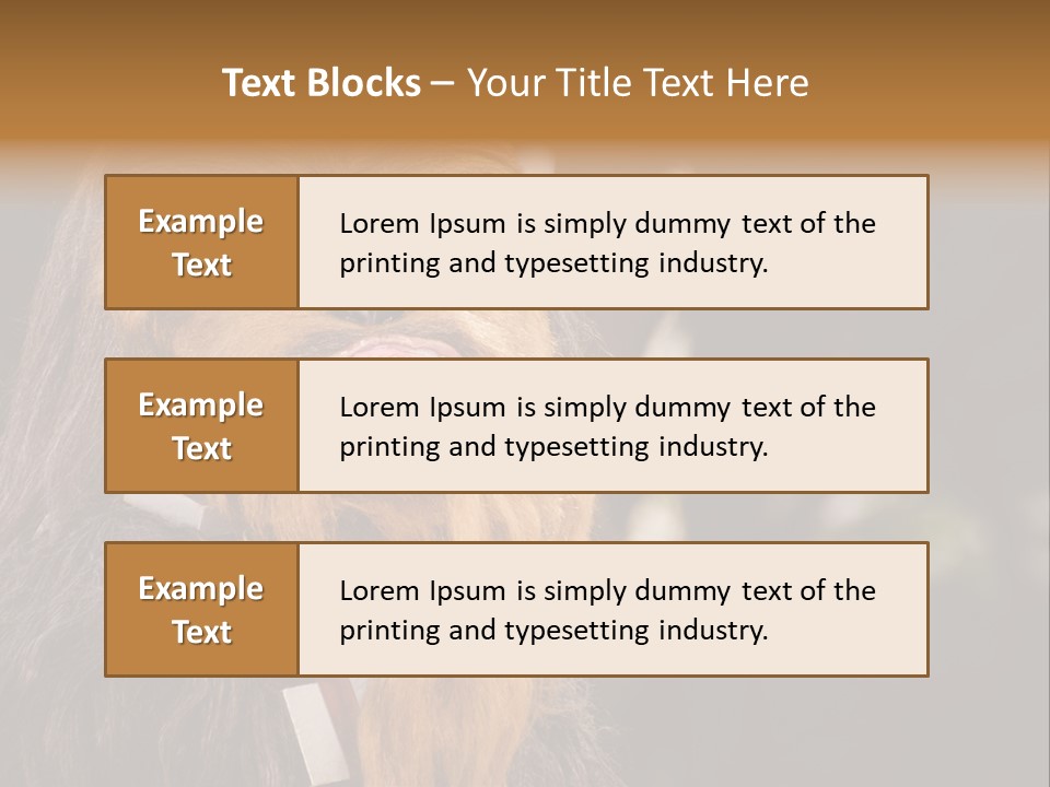 A Chew Chew Chew Chew Chew Chew Chew Chew Chew Chew Chew Chew Chew Chew Chew PowerPoint Template
