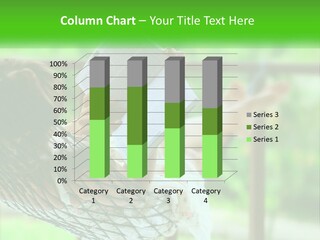 A Woman Reading A Book In A Hammock PowerPoint Template