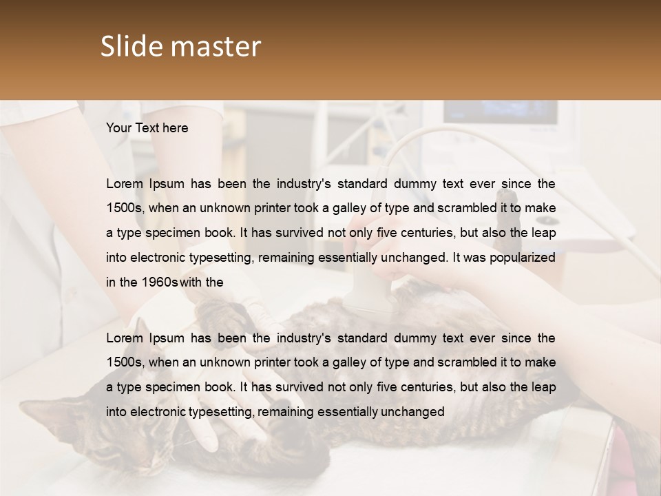 A Cat Is Being Examined By A Veterinator PowerPoint Template