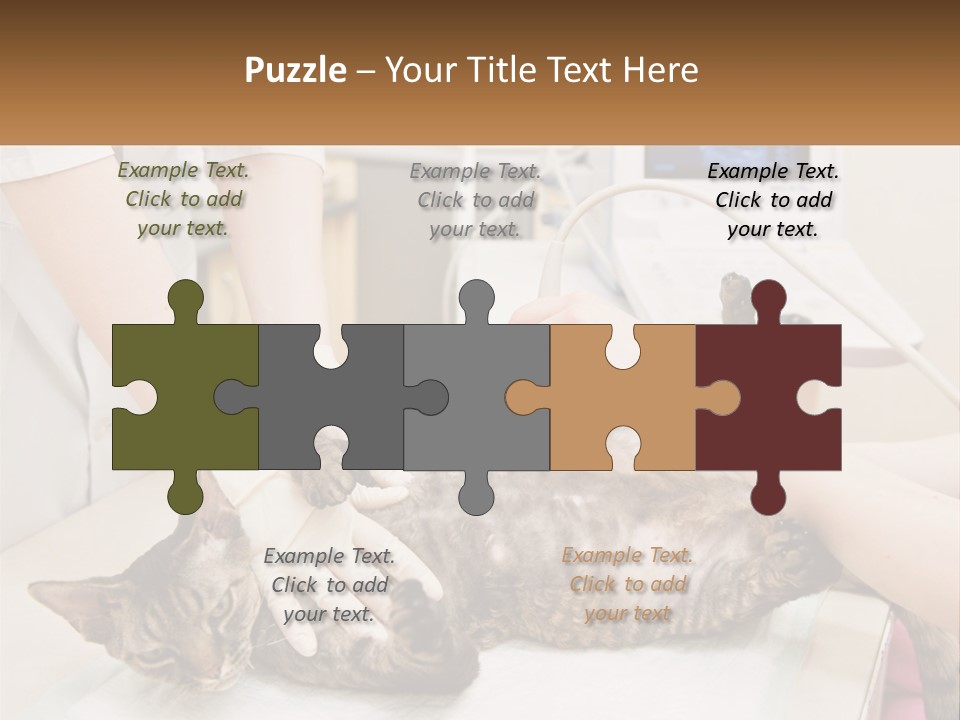 A Cat Is Being Examined By A Veterinator PowerPoint Template