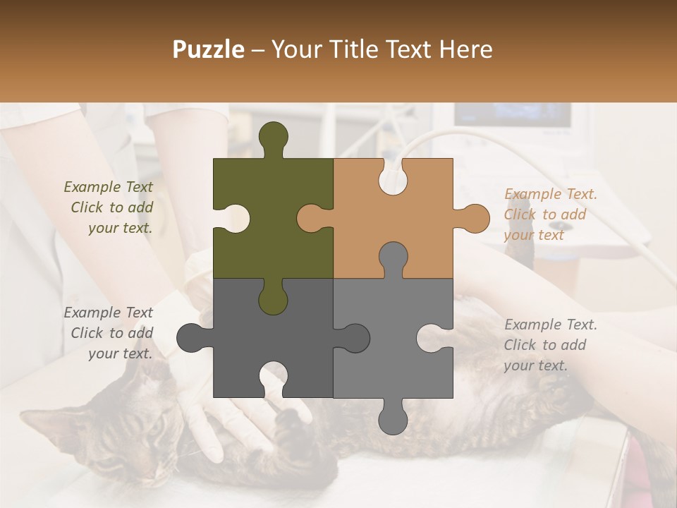 A Cat Is Being Examined By A Veterinator PowerPoint Template
