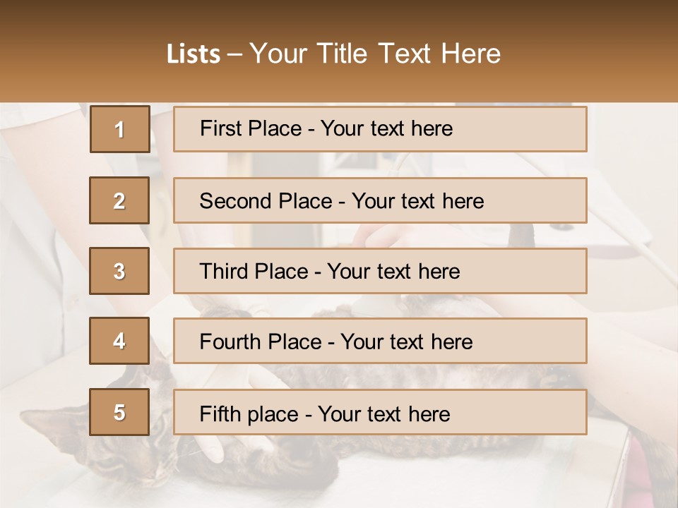 A Cat Is Being Examined By A Veterinator PowerPoint Template