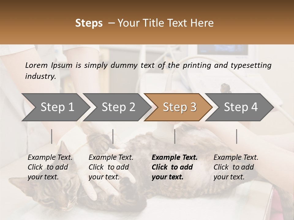 A Cat Is Being Examined By A Veterinator PowerPoint Template