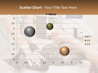 A Cat Is Being Examined By A Veterinator PowerPoint Template