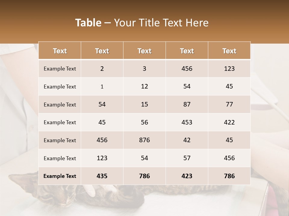 A Cat Is Being Examined By A Veterinator PowerPoint Template