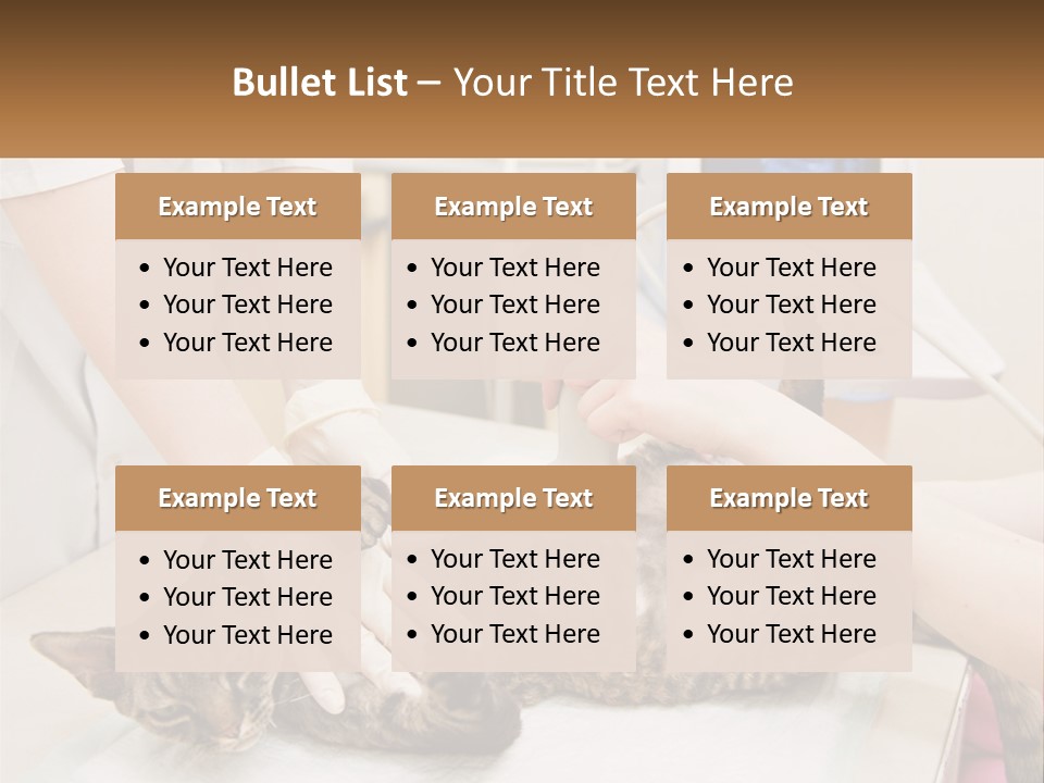 A Cat Is Being Examined By A Veterinator PowerPoint Template