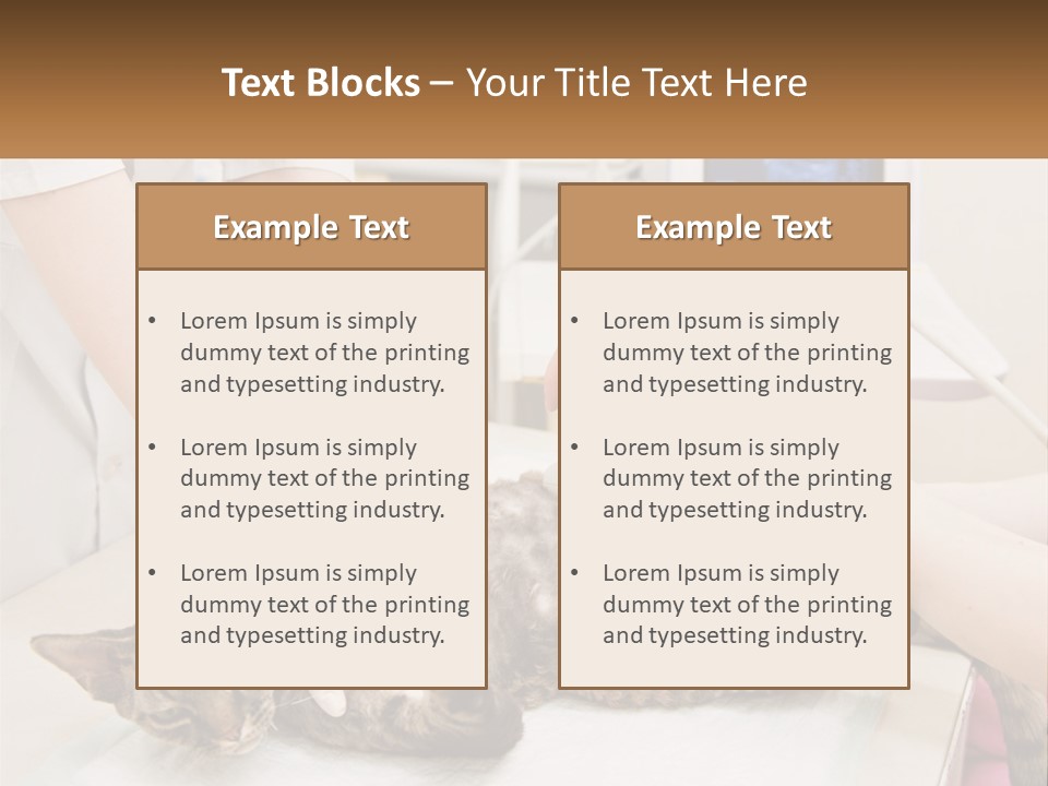 A Cat Is Being Examined By A Veterinator PowerPoint Template