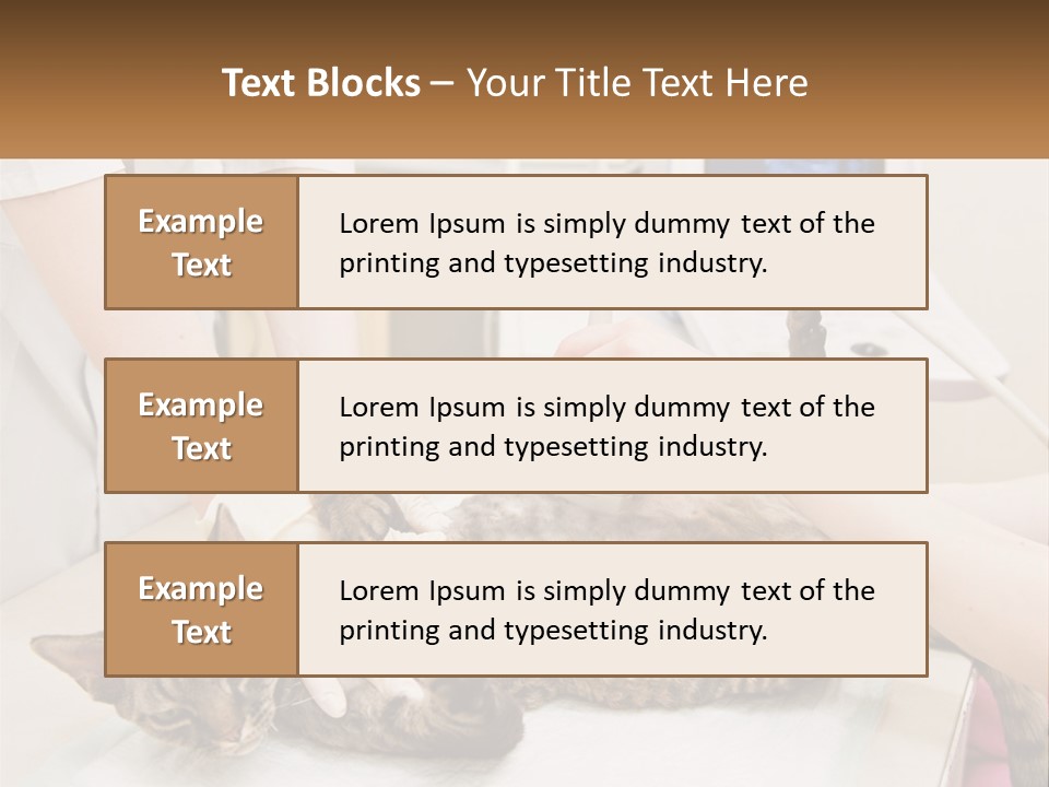 A Cat Is Being Examined By A Veterinator PowerPoint Template