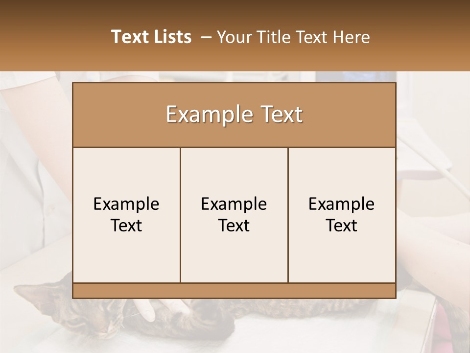A Cat Is Being Examined By A Veterinator PowerPoint Template