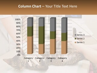 A Cat Is Being Examined By A Veterinator PowerPoint Template