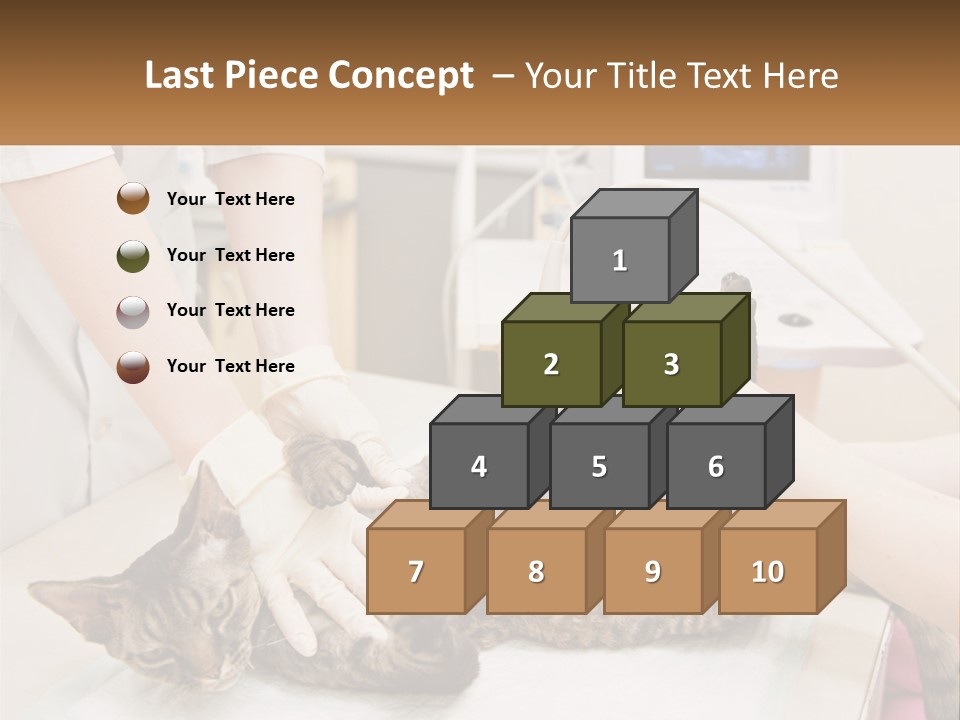 A Cat Is Being Examined By A Veterinator PowerPoint Template