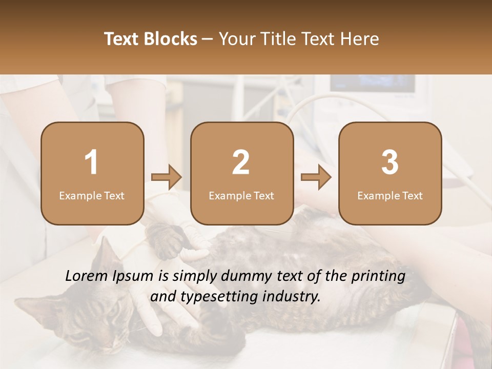 A Cat Is Being Examined By A Veterinator PowerPoint Template