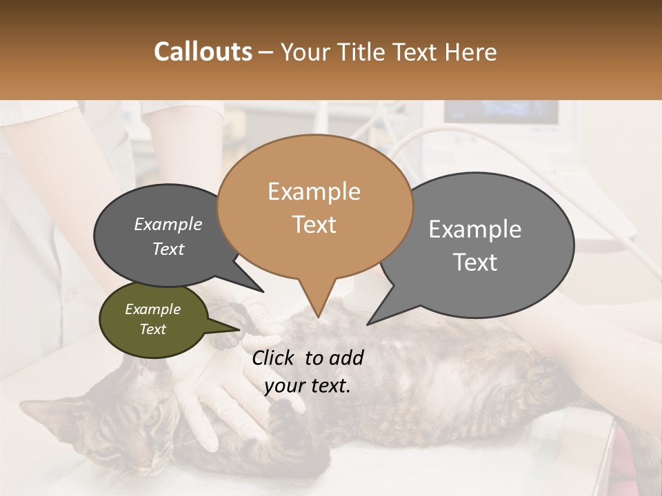 A Cat Is Being Examined By A Veterinator PowerPoint Template