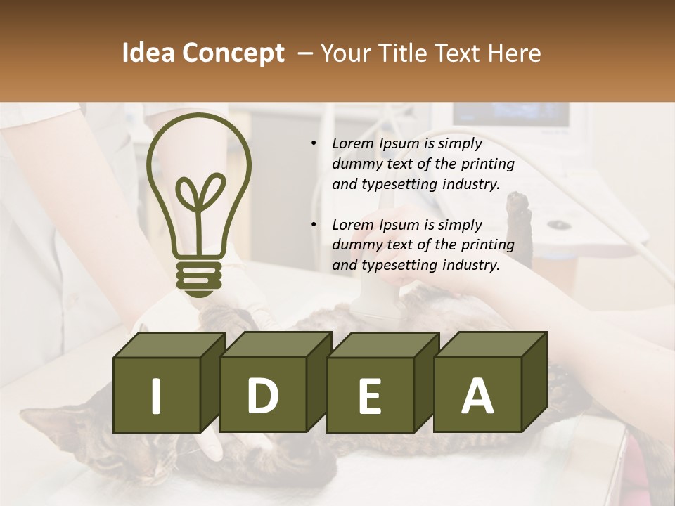 A Cat Is Being Examined By A Veterinator PowerPoint Template