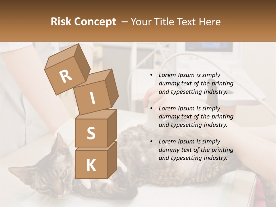 A Cat Is Being Examined By A Veterinator PowerPoint Template